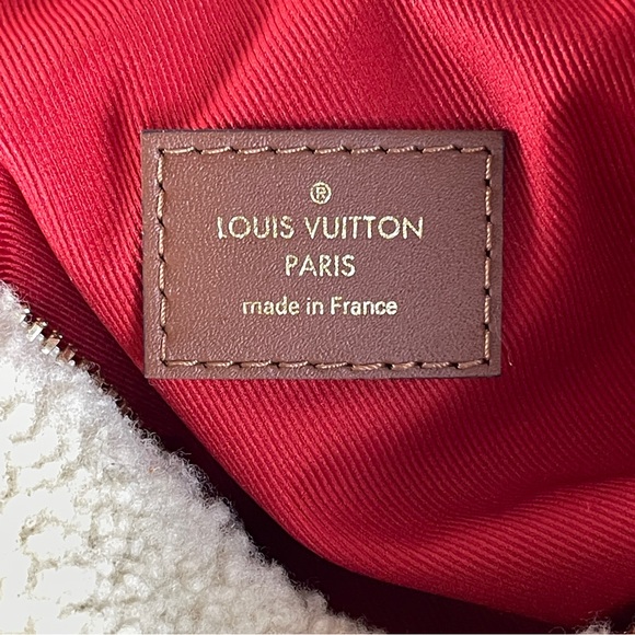 Louis Vuitton Teddy Mono Bumbag - Picture 13 of 14